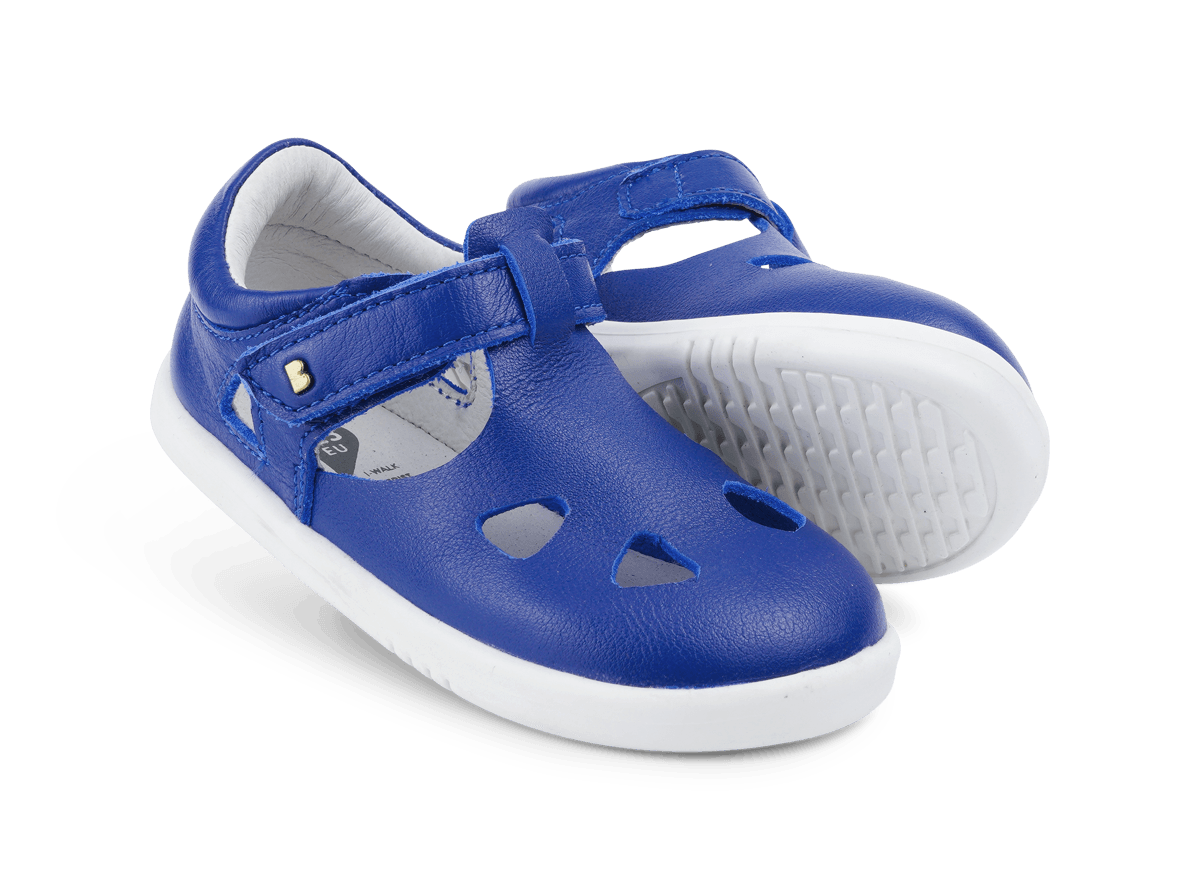 Zap II Blueberry