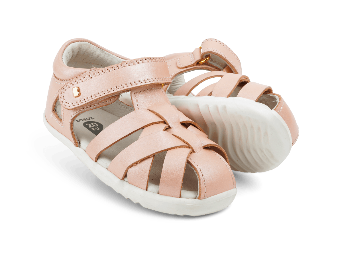 Tropicana II Seashell Shimmer