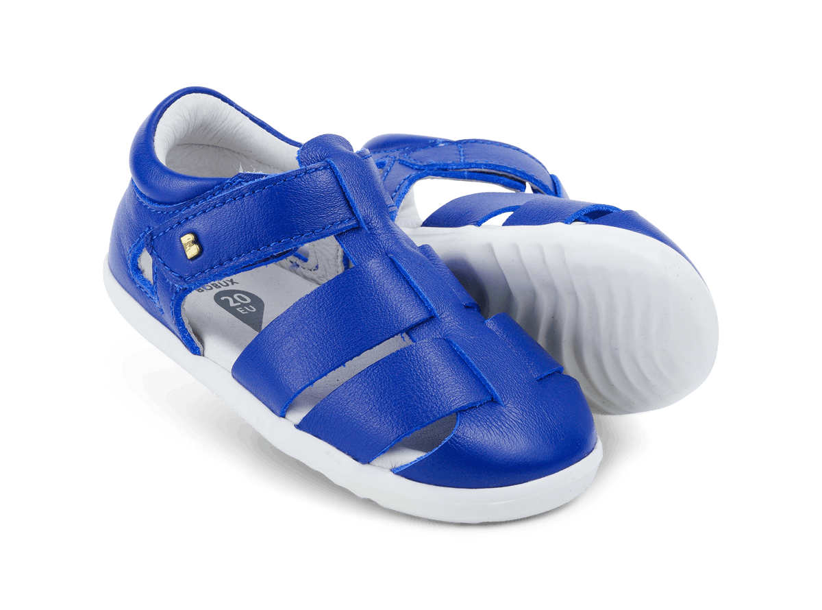 Tidal Blueberry