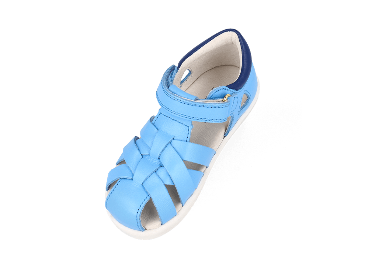 Tropicana II Powder Blue + Blueberry