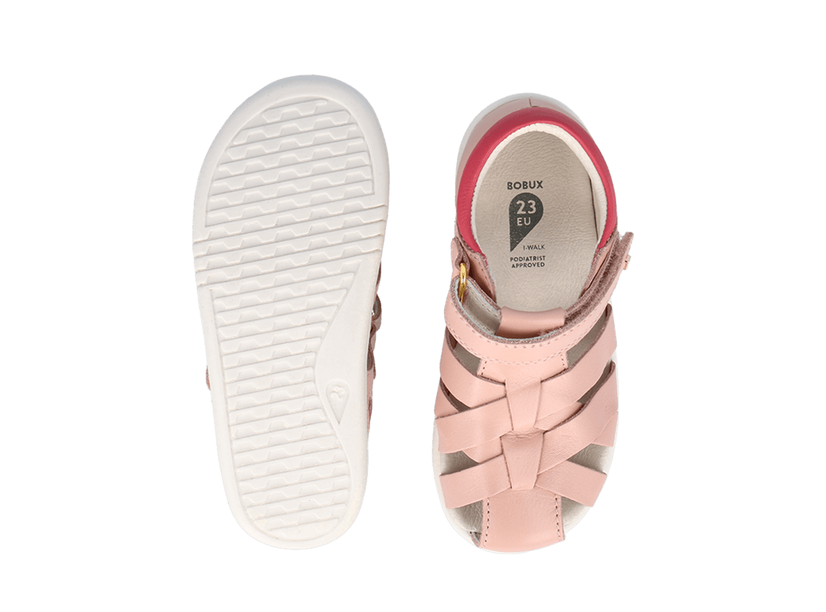Tropicana II Seashell + Guava