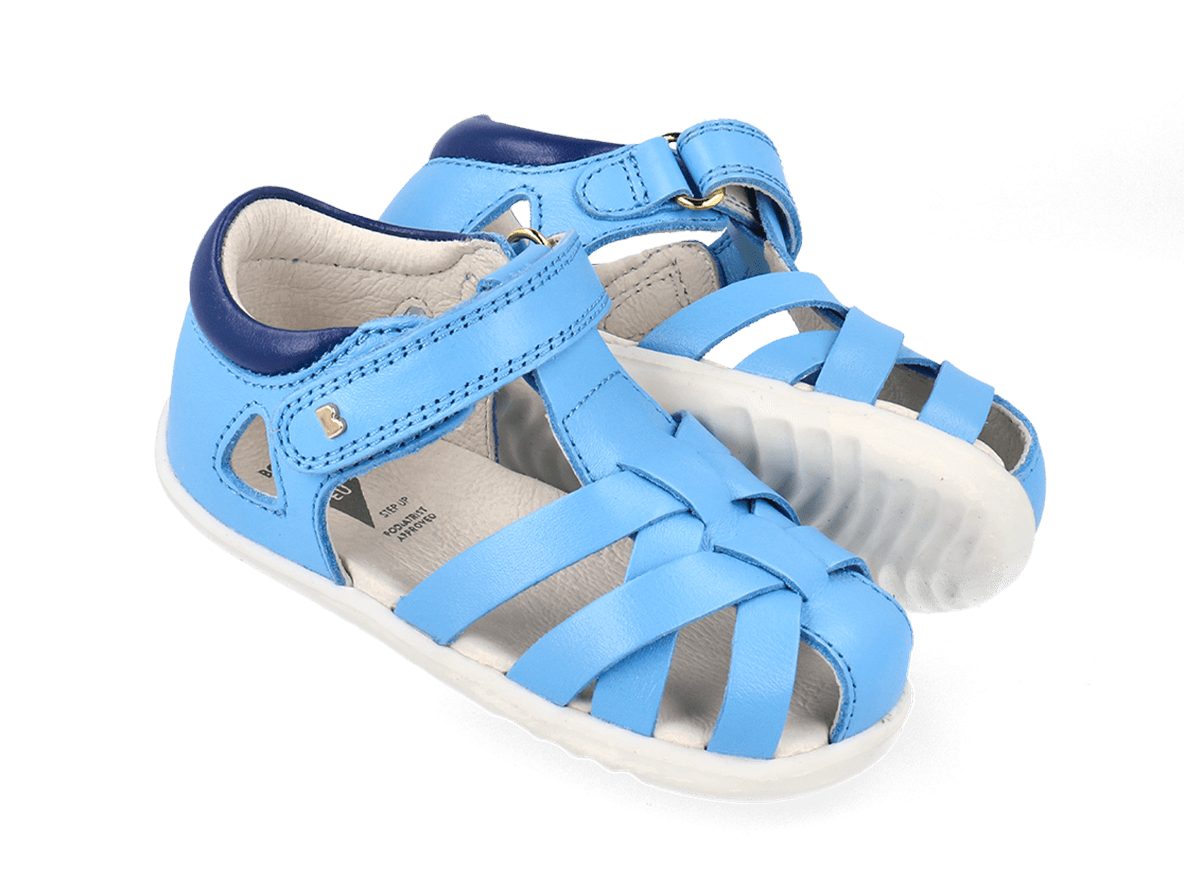 Tropicana II Powder Blue + Blueberry