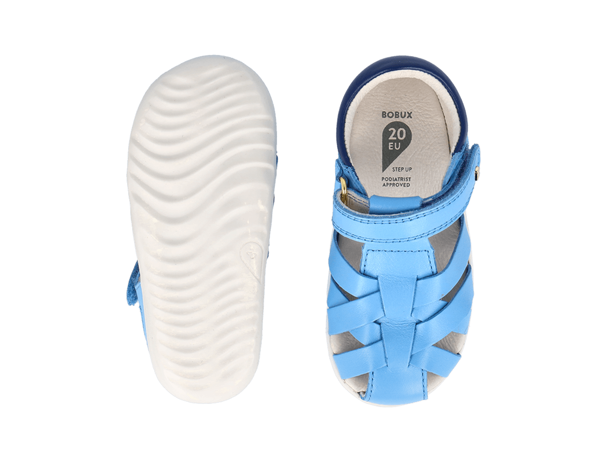 Tropicana II Powder Blue + Blueberry