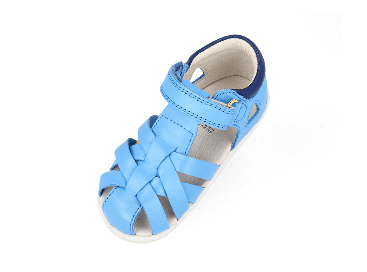 Tropicana II Powder Blue + Blueberry