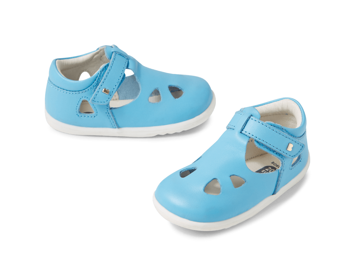 Zap II Aquarius