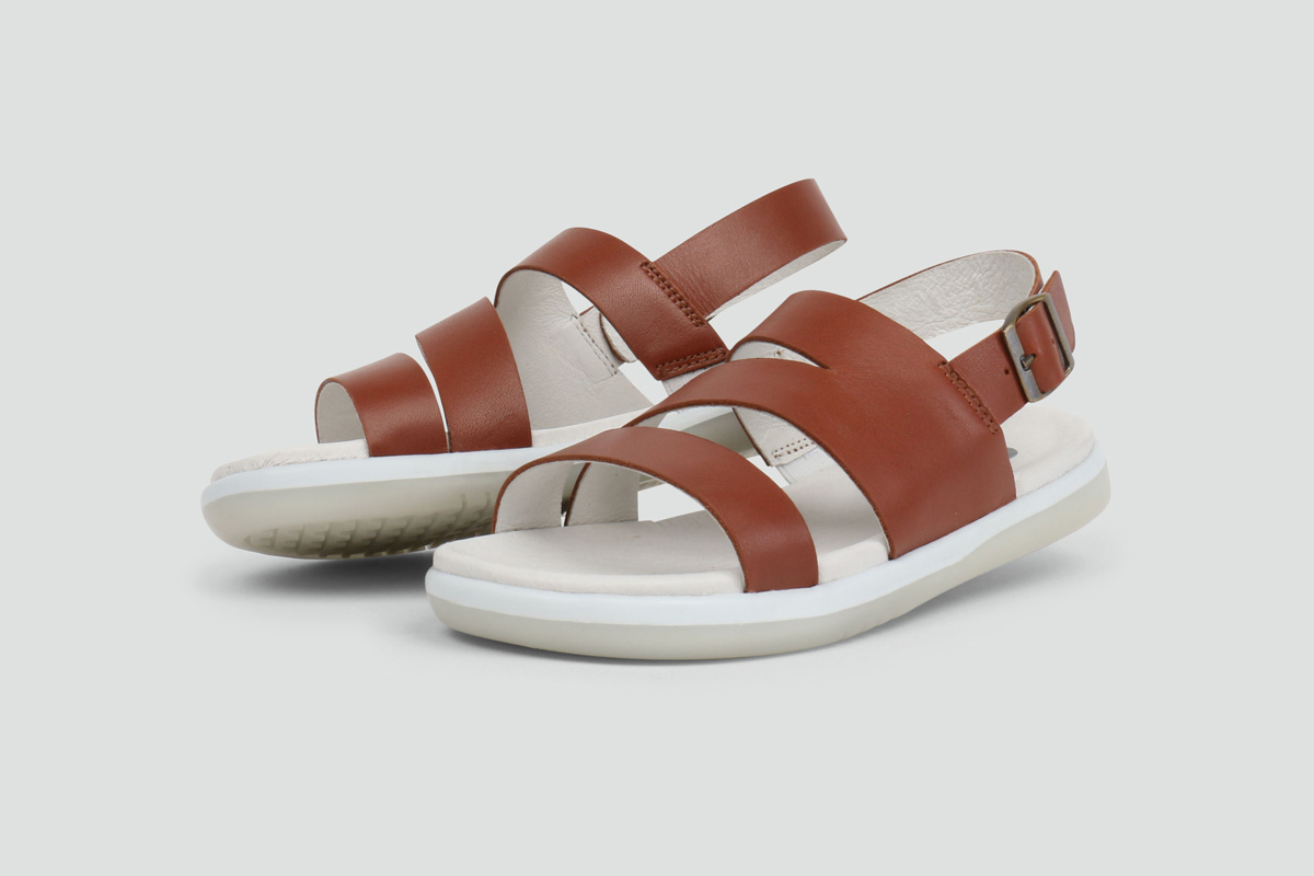 Trojan Chestnut