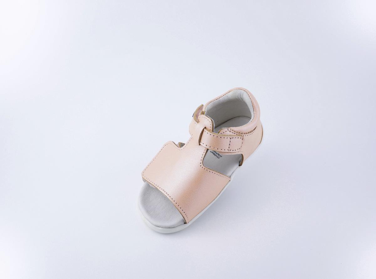 Mirror Seashell Shimmer